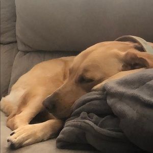 Meet your Posher, Caitlin